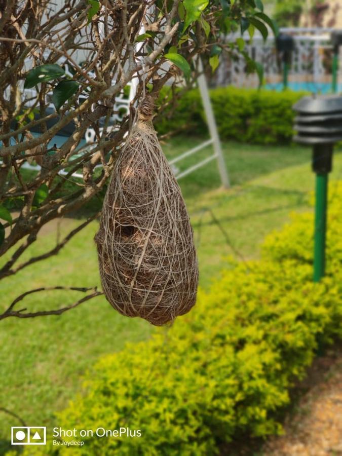 New Hemanjali Resort Bolpur Exterior photo
